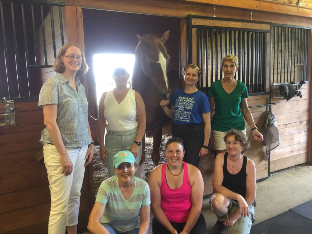 equestrian-horse-stable-friends-berni-k